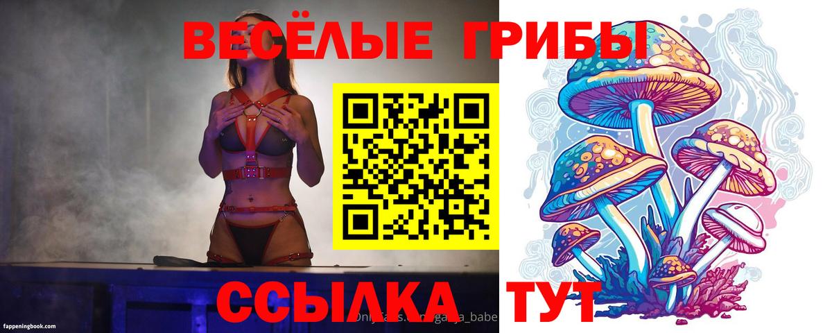 Псилоцибиновые грибы MAGIC MUSHROOMS  Вход с VPN  Ачхой-Мартан  Псилоцибиновые грибы прущие грибы 